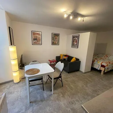 Studio Rdc Parking Prive Gratuit Doue-la-Fontaine Exterior photo